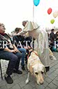 %_tempFileName340801_18102017%
