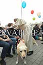 %_tempFileName340802_18102017%