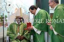 %_tempFileName00493_12112017%
