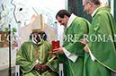 %_tempFileName00494_12112017%