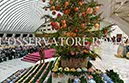 %_tempFileName389066_06122017%