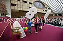 %_tempFileName00510_17122017%