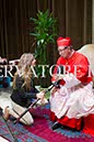 %_tempFileName02918_28062017%