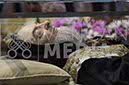 %_tempFileName02603_17032018%