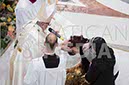 %_tempFileName11577_31032018%