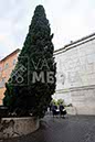 %_tempFileName01449_06052018%
