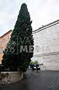 %_tempFileName01450_06052018%