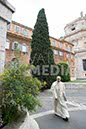%_tempFileName03110_21052018%