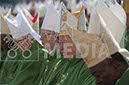 %_tempFileName00954_03102018%