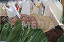 %_tempFileName00955_03102018%