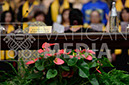 %_tempFileName01194_24112018%