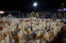 %_tempFileName05096_21112019%