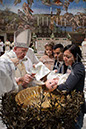 %_tempFileName03006_12012020%
