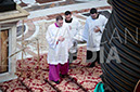 %_tempFileName01909_26012020%