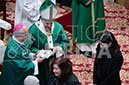 %_tempFileName02630_26012020%