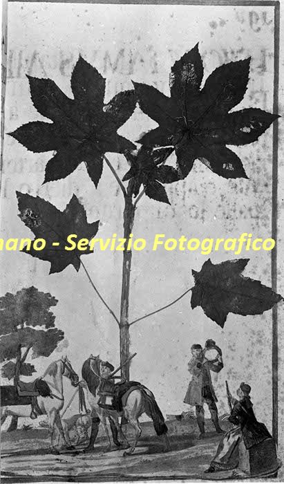 %_tempFileNamesc2-221_06014%