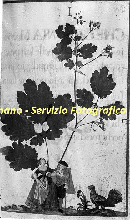 %_tempFileNamesc2-221_06015%