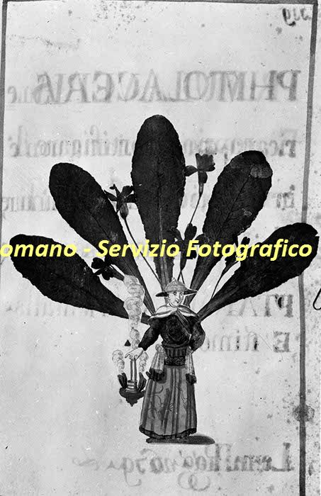 %_tempFileNamesc2-221_06016%