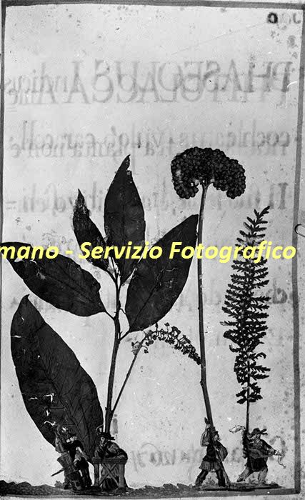 %_tempFileNamesc2-221_06017%