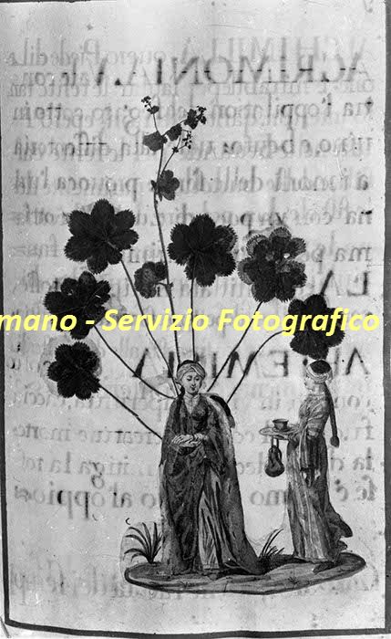 %_tempFileNamesc2-221_06018%