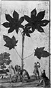 %_tempFileNamesc2-221_06014%