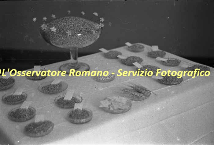 %_tempFileNamesc2-142_04378%