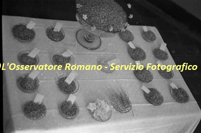 %_tempFileNamesc2-142_04379%