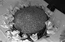 %_tempFileNamesc2-142_04375%