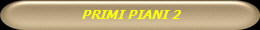 PRIMI PIANI 2