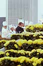 %_tempFileName02397_IRLANDA-USA1979%