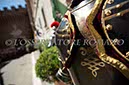 %_tempFileName05128_06052014%