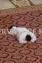 %_tempFileName02214_07052017%