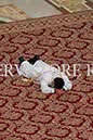 %_tempFileName02224_07052017%