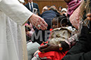 %_tempFileName012139_15012020%