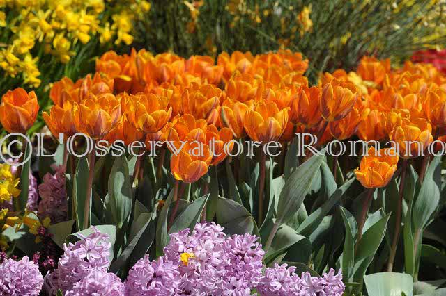 %_tempFileName20438_07042010%