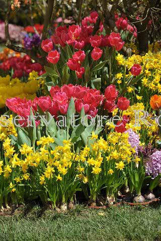 %_tempFileName20451_07042010%