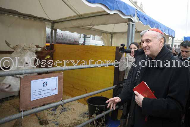 %_tempFileName00600_17012013%