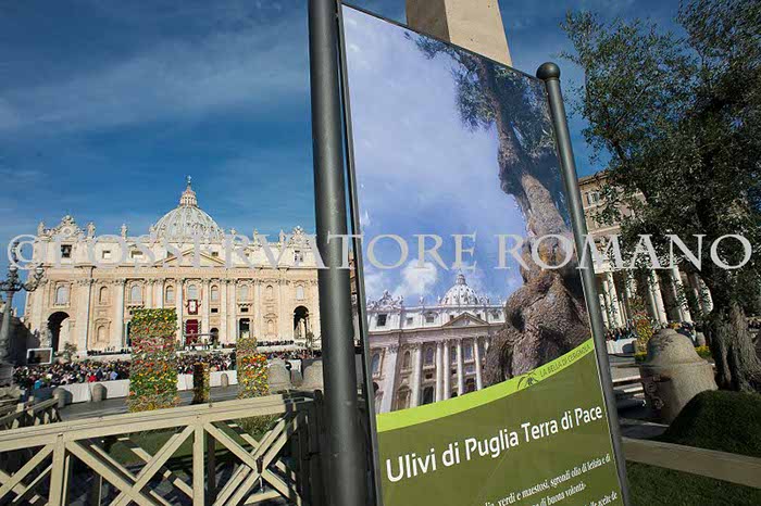 %_tempFileName00028_29032015%