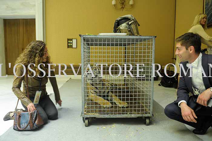 %_tempFileName02019_16062016%