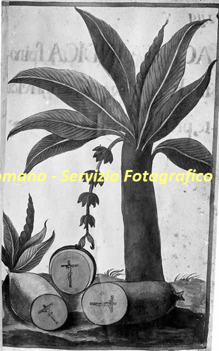 %_tempFileNamesc2-221_06013%