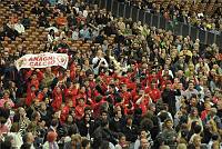 File name            	:DSC_2125.JPG<br>File size            	:3.6MB(3733772Bytes)<br>Date taken           	:2010/02/03 11:42:32<br>Image size           	:3216 x 2136<br>Resolution           	:300 x 300 dpi<br>Number of bits       	:8bit/channel<br>Protection attribute 	:Off<br>Hide Attribute       	:Off<br>Camera ID            	:N/A<br>Camera               	:NIKON D300<br>Quality mode         	:N/A<br>Metering mode        	:Matrix<br>Exposure mode        	:Manual<br>Speed light          	:No<br>Focal length         	:110 mm<br>Shutter speed        	:1/160second<br>Aperture             	:F2.8<br>Exposure compensation	:0 EV<br>White Balance        	:N/A<br>Lens                 	:N/A<br>Flash sync mode      	:N/A<br>Exposure difference  	:N/A<br>Flexible program     	:N/A<br>Sensitivity          	:N/A<br>Sharpening           	:N/A<br>Image Type           	:Color<br>Color Mode           	:N/A<br>Hue adjustment       	:N/A<br>Saturation Control   	:N/A<br>Tone compensation    	:N/A<br>Latitude(GPS)        	:N/A<br>Longitude(GPS)       	:N/A<br>Altitude(GPS)        	:N/A