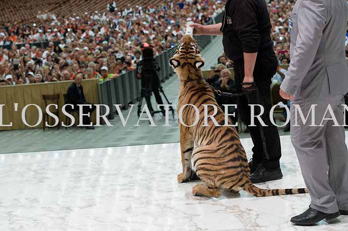 %_tempFileName04161_16062016%