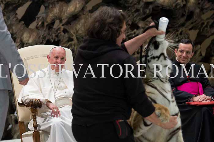 %_tempFileName04173_16062016%