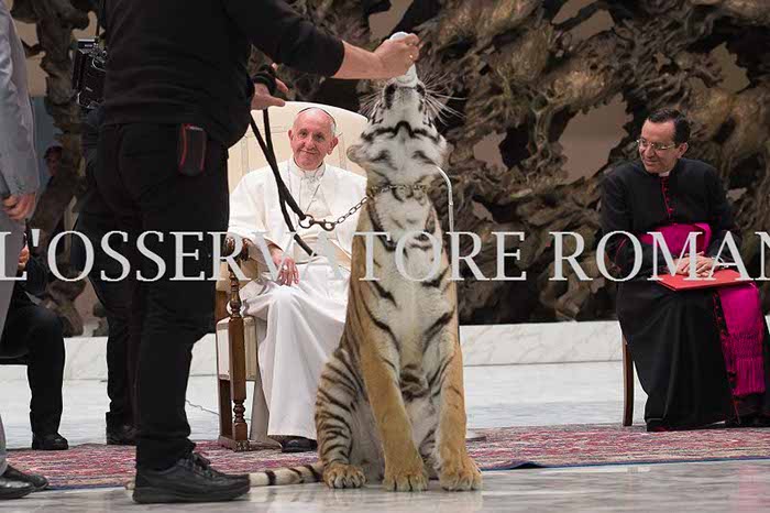 %_tempFileName04175_16062016%