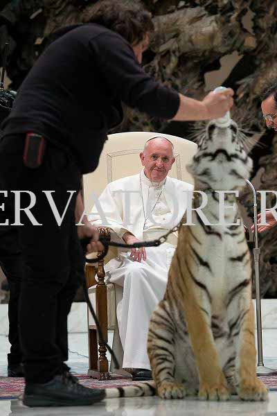 %_tempFileName04177_16062016%