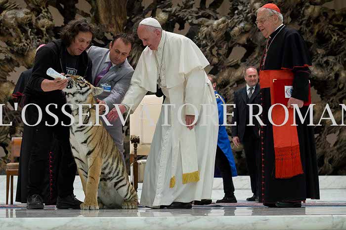 %_tempFileName04206_16062016%