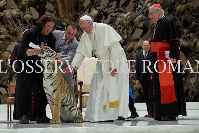 %_tempFileName04208_16062016%