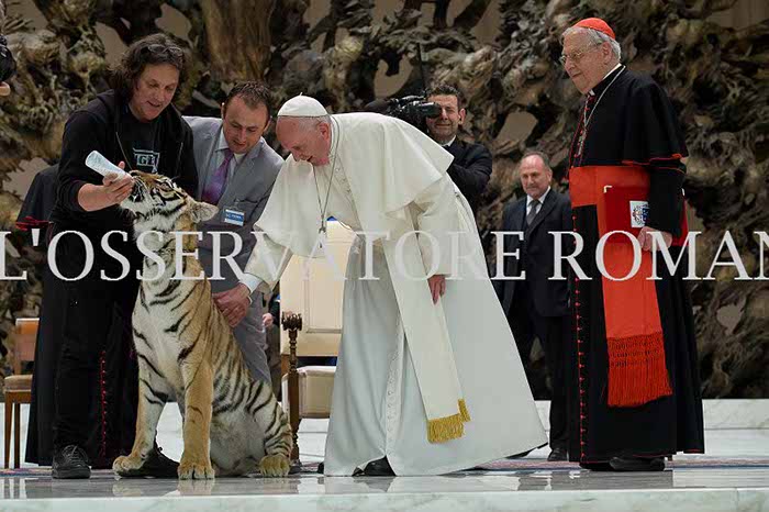 %_tempFileName04215_16062016%