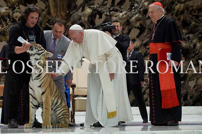 %_tempFileName04219_16062016%