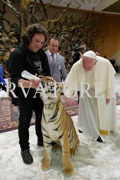 %_tempFileName04223_16062016%